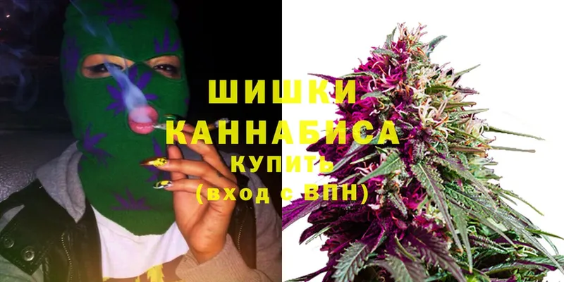 купить закладку  Анадырь  МАРИХУАНА SATIVA & INDICA 